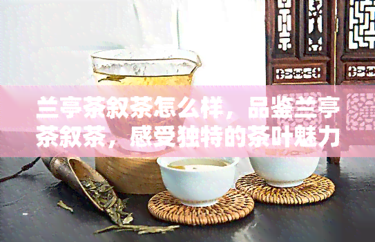 兰亭茶叙茶怎么样，品鉴兰亭茶叙茶，感受独特的茶叶魅力！