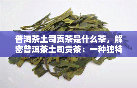 普洱茶土司贡茶是什么茶，解密普洱茶土司贡茶：一种独特的茶叶品种