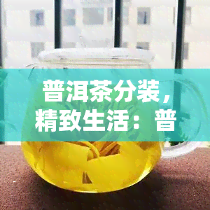 普洱茶分装，精致生活：普洱茶的分装艺术