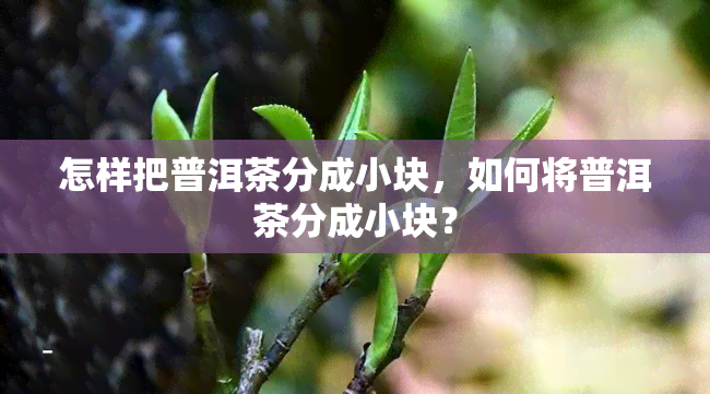 怎样把普洱茶分成小块，如何将普洱茶分成小块？