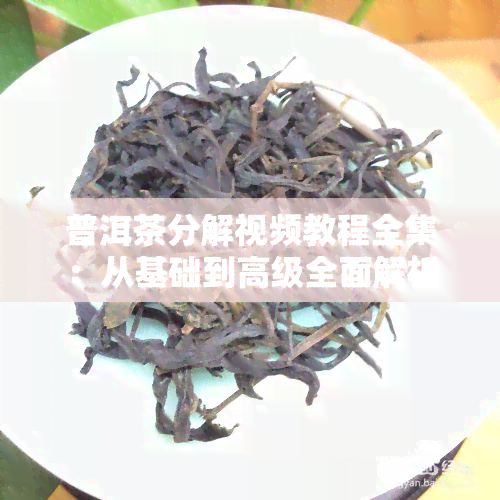 普洱茶分解视频教程全集：从基础到高级全面解析