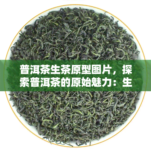 普洱茶生茶原型图片，探索普洱茶的原始魅力：生茶原型图片欣