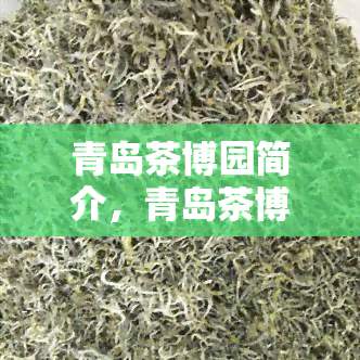 青岛茶博园简介，青岛茶博园：品味历文化，感受茶园魅力