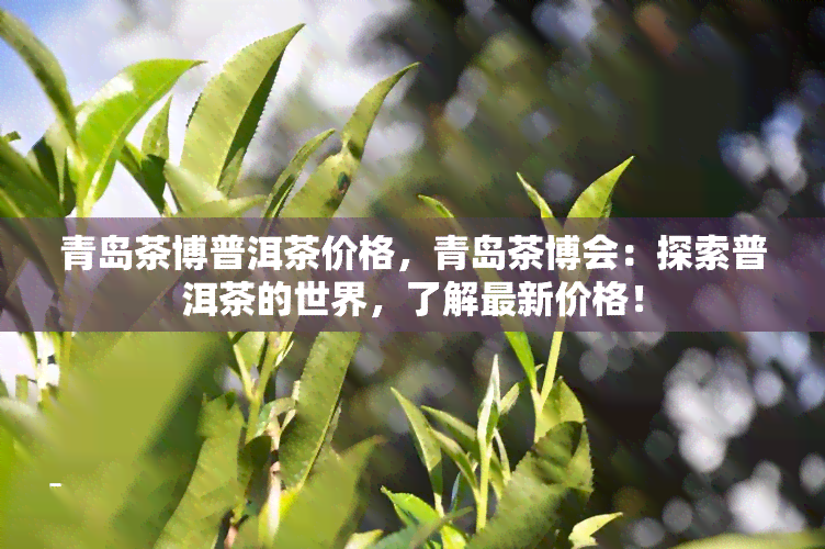 青岛茶博普洱茶价格，青岛茶博会：探索普洱茶的世界，了解最新价格！