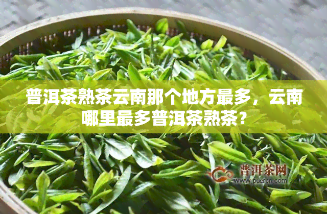 普洱茶熟茶云南那个地方最多，云南哪里最多普洱茶熟茶？