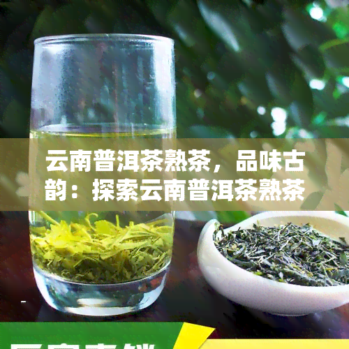 云南普洱茶熟茶，品味古韵：探索云南普洱茶熟茶的独特魅力