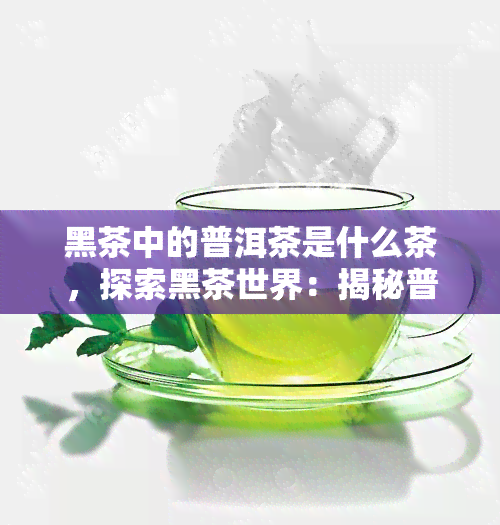 黑茶中的普洱茶是什么茶，探索黑茶世界：揭秘普洱茶的神秘面纱