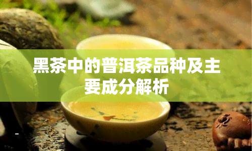 黑茶中的普洱茶品种及主要成分解析