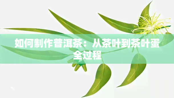 如何制作普洱茶：从茶叶到茶叶蛋全过程