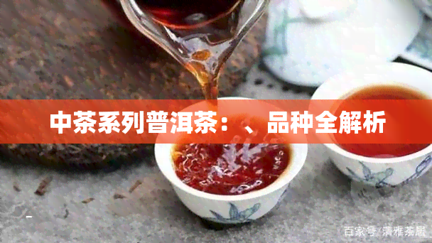 中茶系列普洱茶：、品种全解析