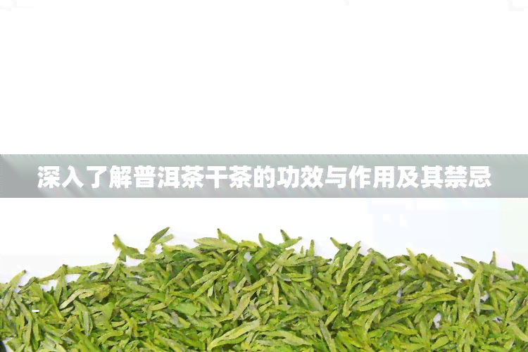 深入了解普洱茶干茶的功效与作用及其禁忌