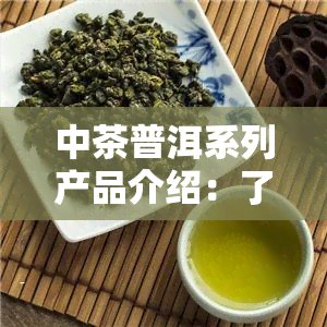 中茶普洱系列产品介绍：了解其种类与特点