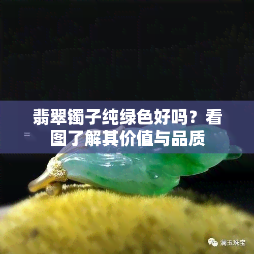 翡翠镯子纯绿色好吗？看图了解其价值与品质