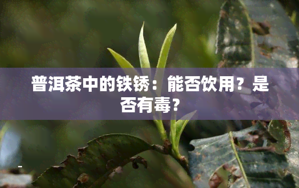 普洱茶中的铁锈：能否饮用？是否有毒？