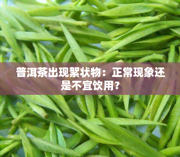 普洱茶出现絮状物：正常现象还是不宜饮用？