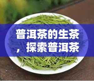 普洱茶的生茶，探索普洱茶的魅力：深入了解生茶的特点与品尝技巧