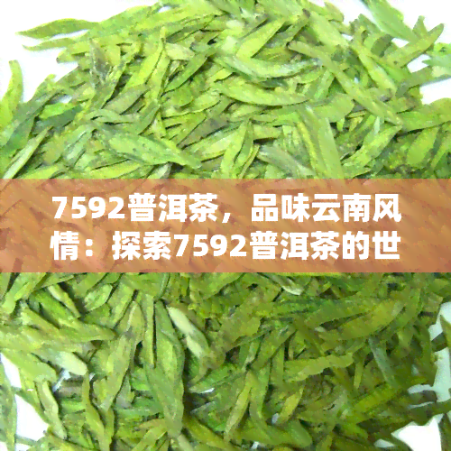 7592普洱茶，品味云南风情：探索7592普洱茶的世界