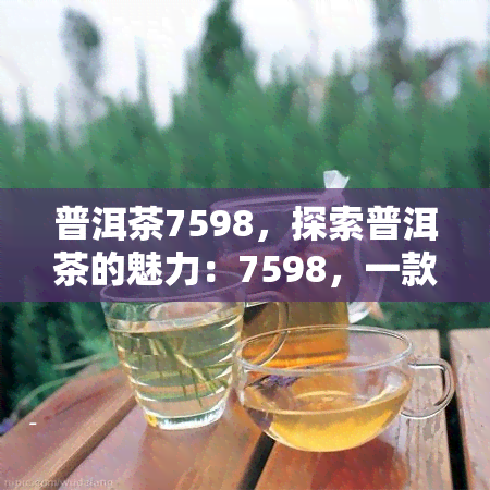 普洱茶7598，探索普洱茶的魅力：7598，一款不可错过的佳品