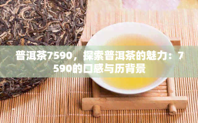 普洱茶7590，探索普洱茶的魅力：7590的口感与历背景