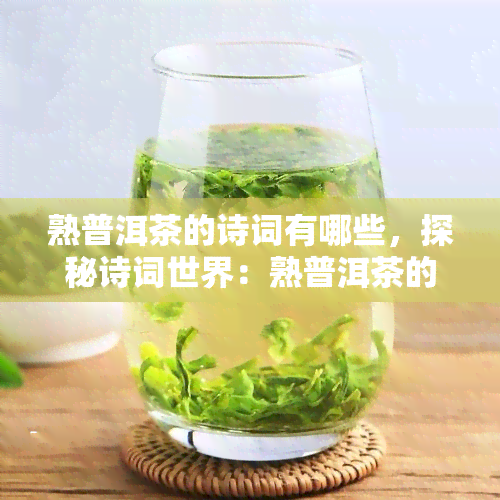 熟普洱茶的诗词有哪些，探秘诗词世界：熟普洱茶的魅力所在