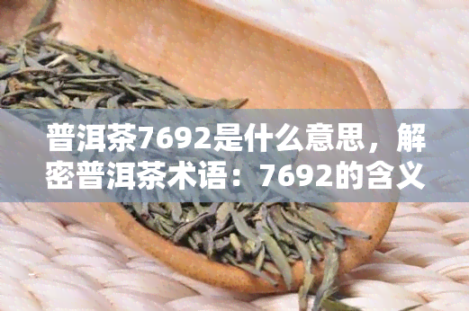 普洱茶7692是什么意思，解密普洱茶术语：7692的含义是什么？