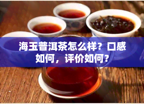 海玉普洱茶怎么样？口感如何，评价如何？