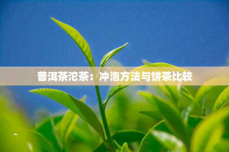 普洱茶沱茶：冲泡方法与饼茶比较