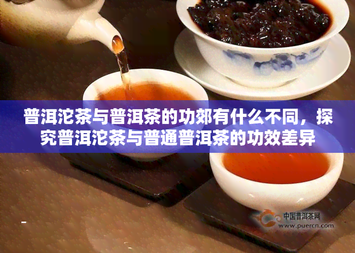 普洱沱茶与普洱茶的功郊有什么不同，探究普洱沱茶与普通普洱茶的功效差异