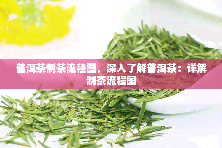 普洱茶制茶流程图，深入了解普洱茶：详解制茶流程图