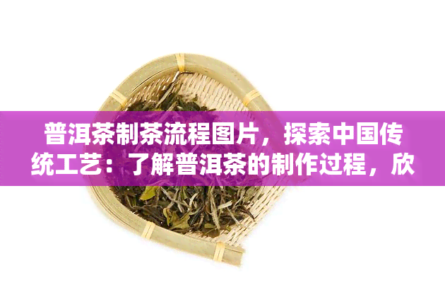 普洱茶制茶流程图片，探索中国传统工艺：了解普洱茶的制作过程，欣精美制茶流程图片