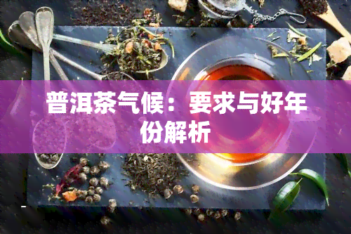 普洱茶气候：要求与好年份解析