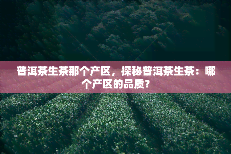 普洱茶生茶那个产区，探秘普洱茶生茶：哪个产区的品质？