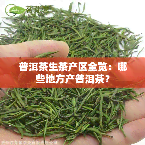 普洱茶生茶产区全览：哪些地方产普洱茶？