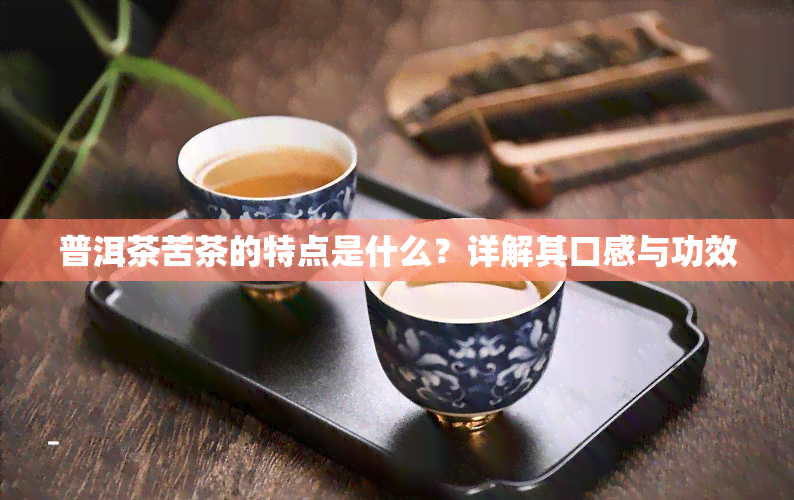 普洱茶苦茶的特点是什么？详解其口感与功效