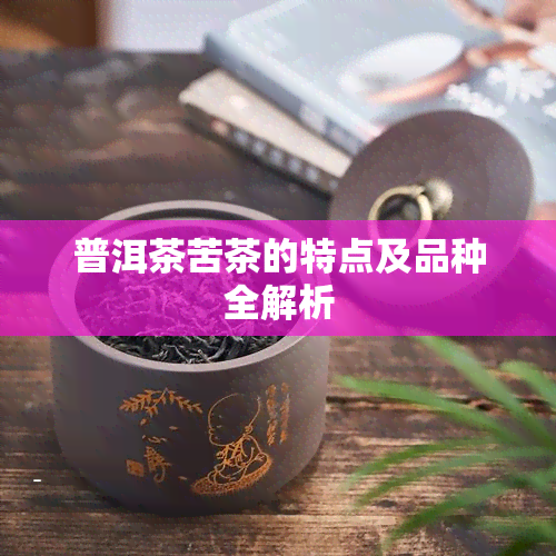 普洱茶苦茶的特点及品种全解析