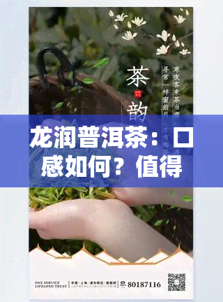 龙润普洱茶：口感如何？值得一试吗？