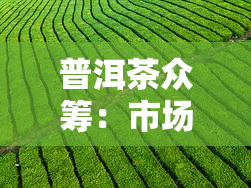 普洱茶众筹：市场定位与茶树众筹网的探索