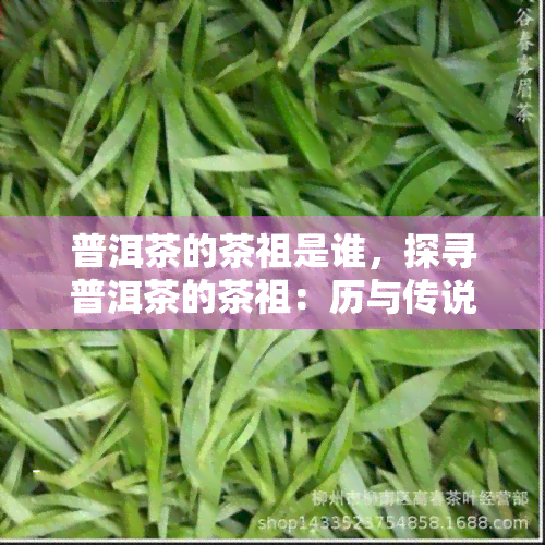 普洱茶的茶祖是谁，探寻普洱茶的茶祖：历与传说的背后