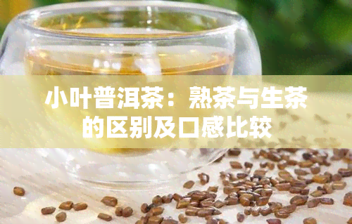 小叶普洱茶：熟茶与生茶的区别及口感比较