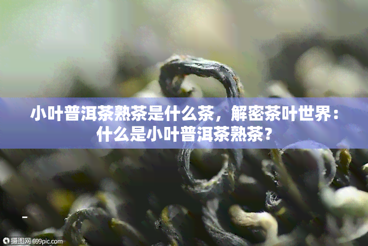 小叶普洱茶熟茶是什么茶，解密茶叶世界：什么是小叶普洱茶熟茶？