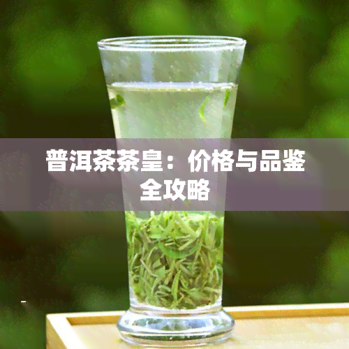 普洱茶茶皇：价格与品鉴全攻略