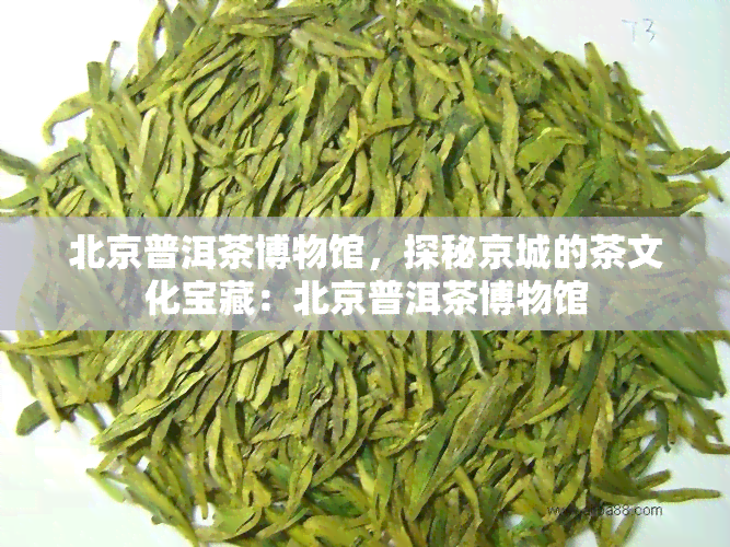 北京普洱茶博物馆，探秘京城的茶文化宝藏：北京普洱茶博物馆