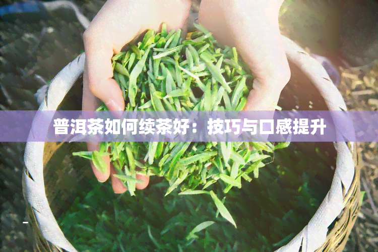 普洱茶如何续茶好：技巧与口感提升