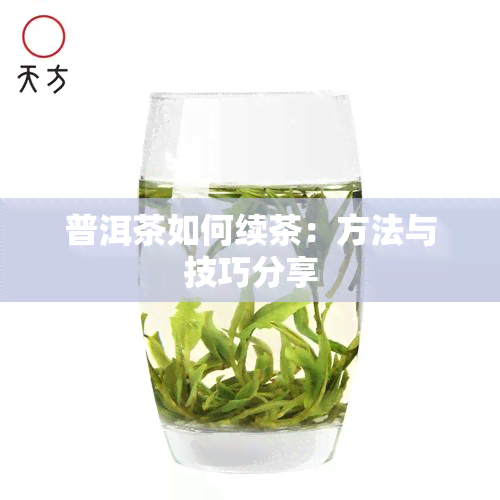 普洱茶如何续茶：方法与技巧分享