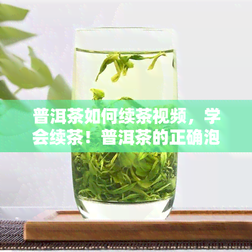 普洱茶如何续茶视频，学会续茶！普洱茶的正确泡法及技巧详解视频