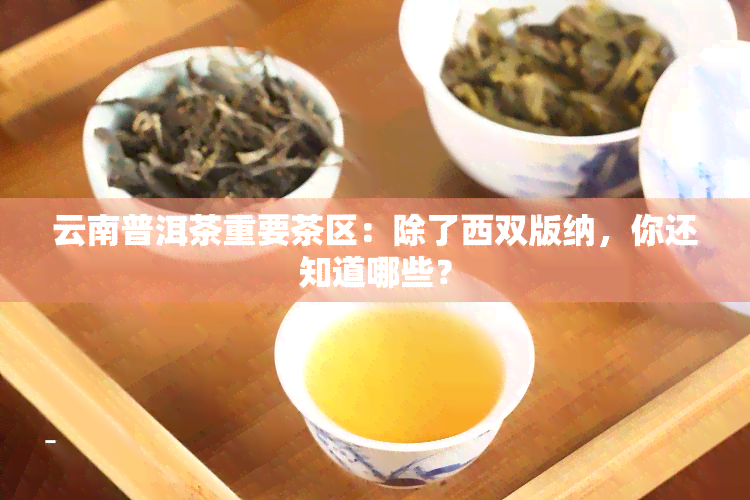 云南普洱茶重要茶区：除了西双版纳，你还知道哪些？