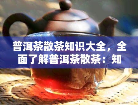 普洱茶散茶知识大全，全面了解普洱茶散茶：知识大全解析