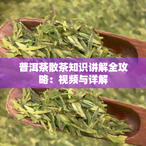 普洱茶散茶知识讲解全攻略：视频与详解