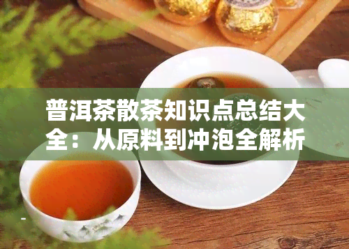 普洱茶散茶知识点总结大全：从原料到冲泡全解析