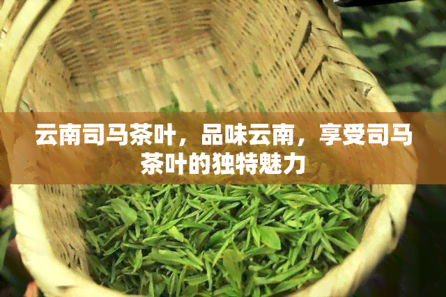 云南司马茶叶，品味云南，享受司马茶叶的独特魅力